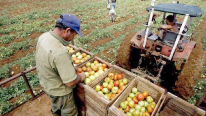 Fermierii avertizaţi: Terenurile agricole din România, în pericol